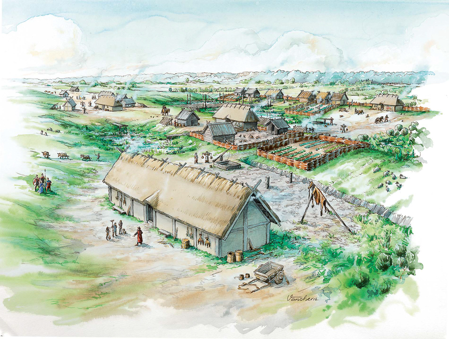 Stroja, Viking Age settlement (Client: Arkeologikonsult AB)