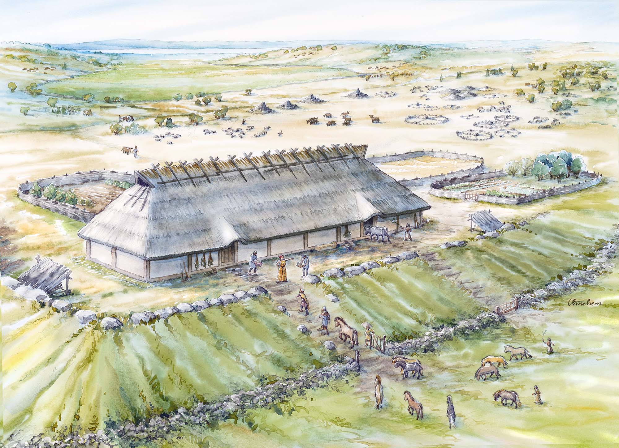 Roman Iron Age horse breeding farm (Client: Sigtuna Museum)